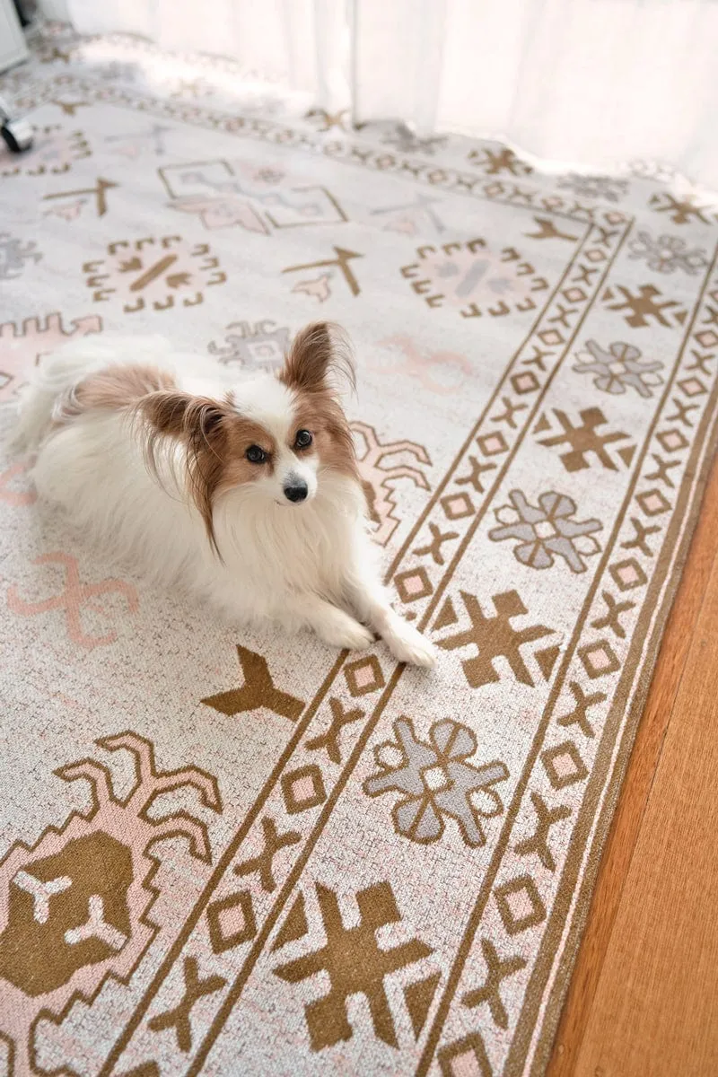 Mimi Peach and Beige Tribal Rug *NO RETURNS UNLESS FAULTY