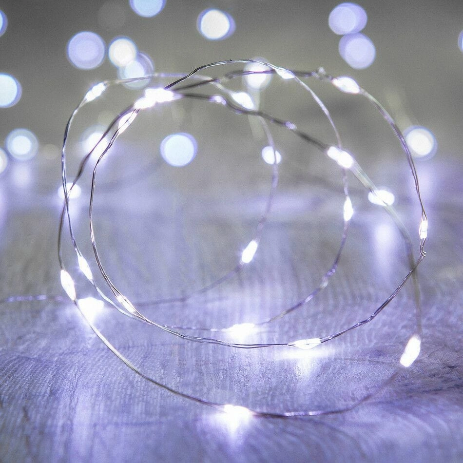 Mini LED Fairy Lights with Battery