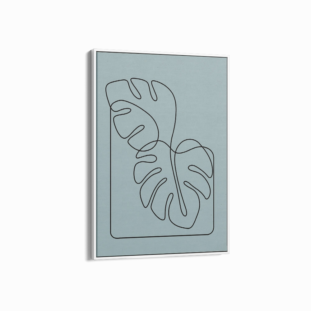 Monstera