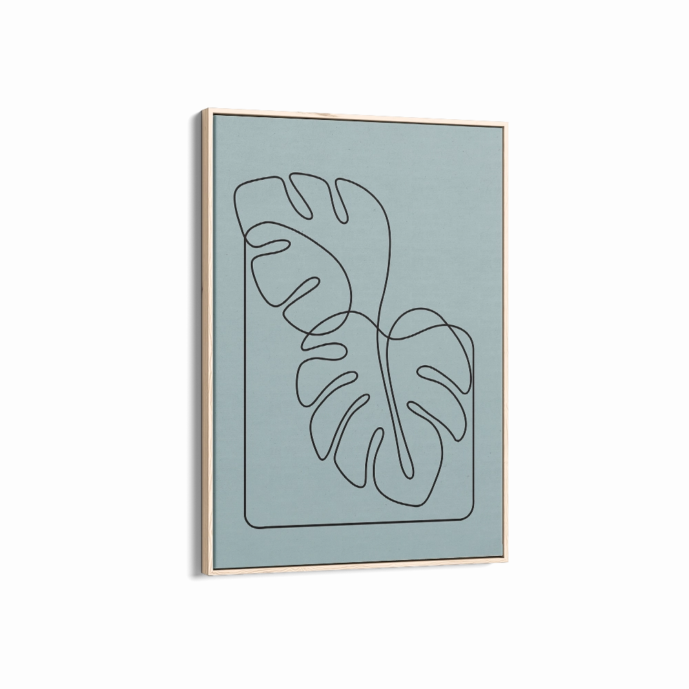 Monstera