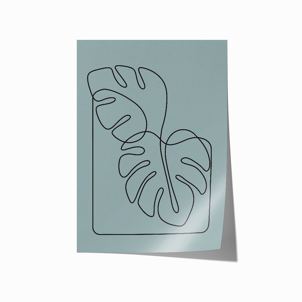 Monstera