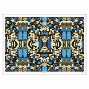 Morpho Emperor Peleidesnordic style wall decor