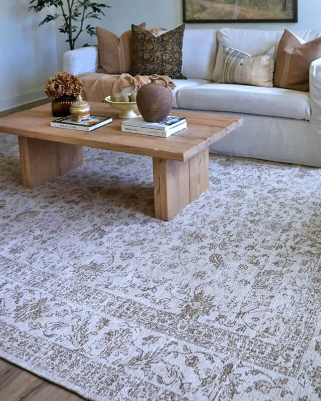 Moselle Beige and Brown Floral Distressed Rug *NO RETURNS UNLESS FAULTY