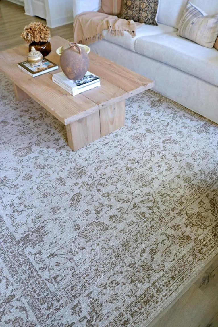 Moselle Beige and Brown Floral Distressed Rug *NO RETURNS UNLESS FAULTY