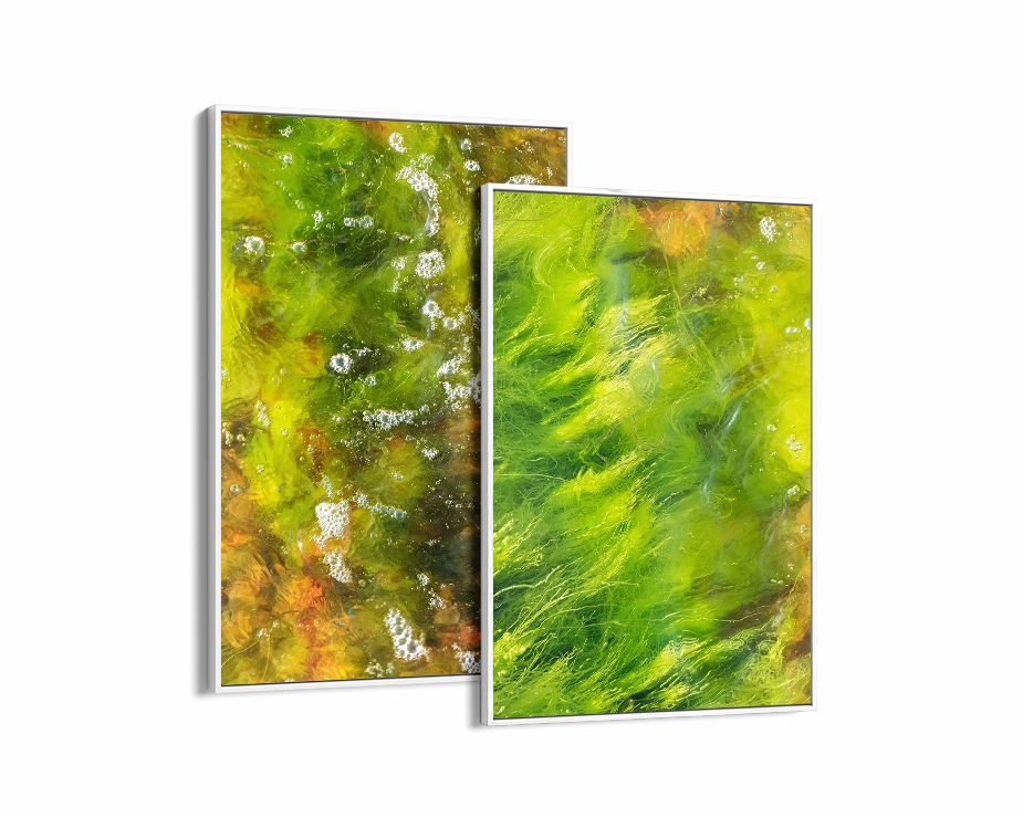 Moss Set Includes Two Prints