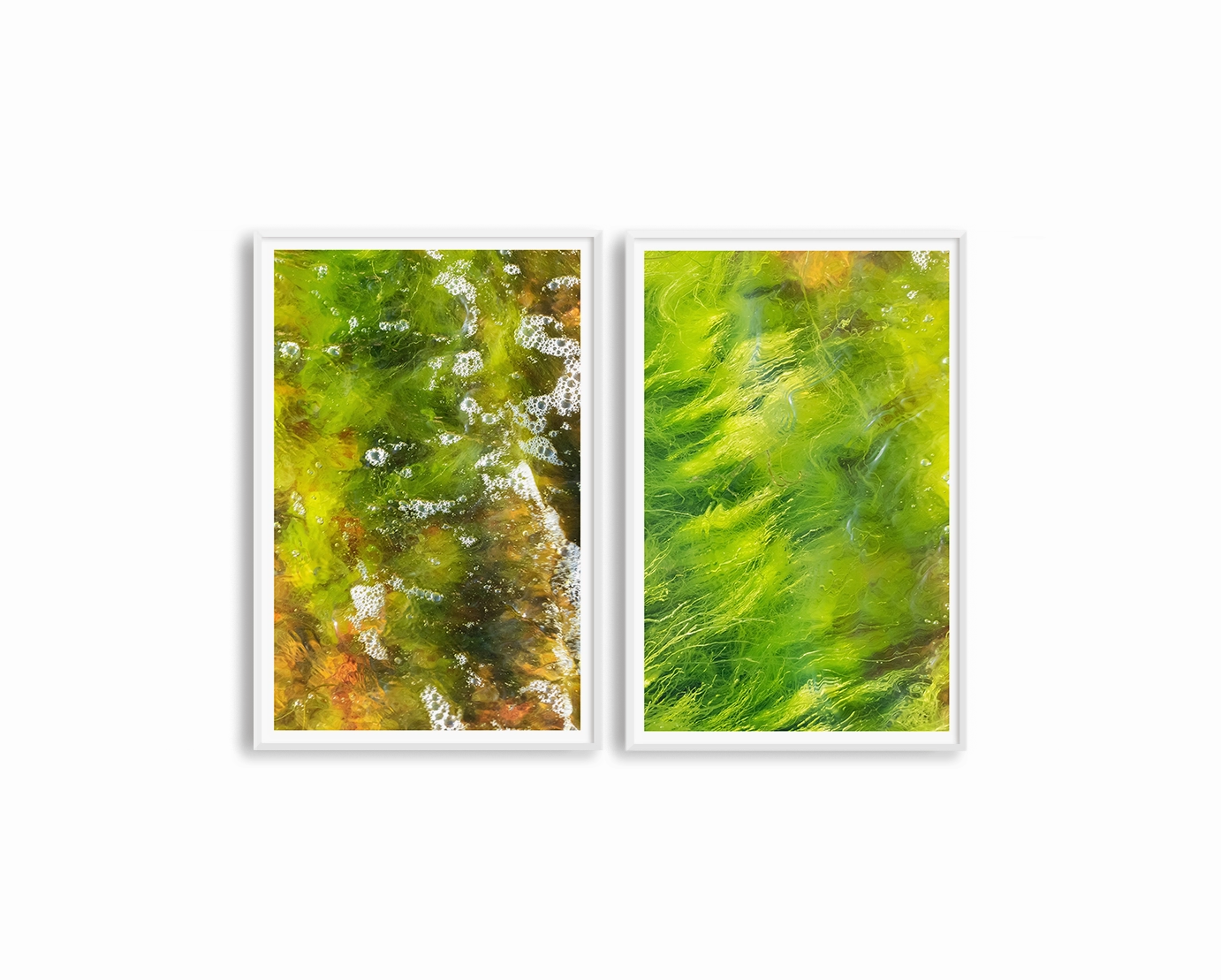 Moss Set Includes Two Prints