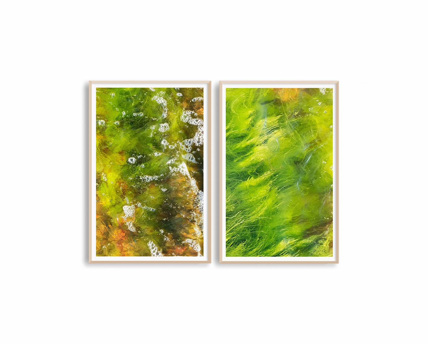 Moss Set Includes Two Prints