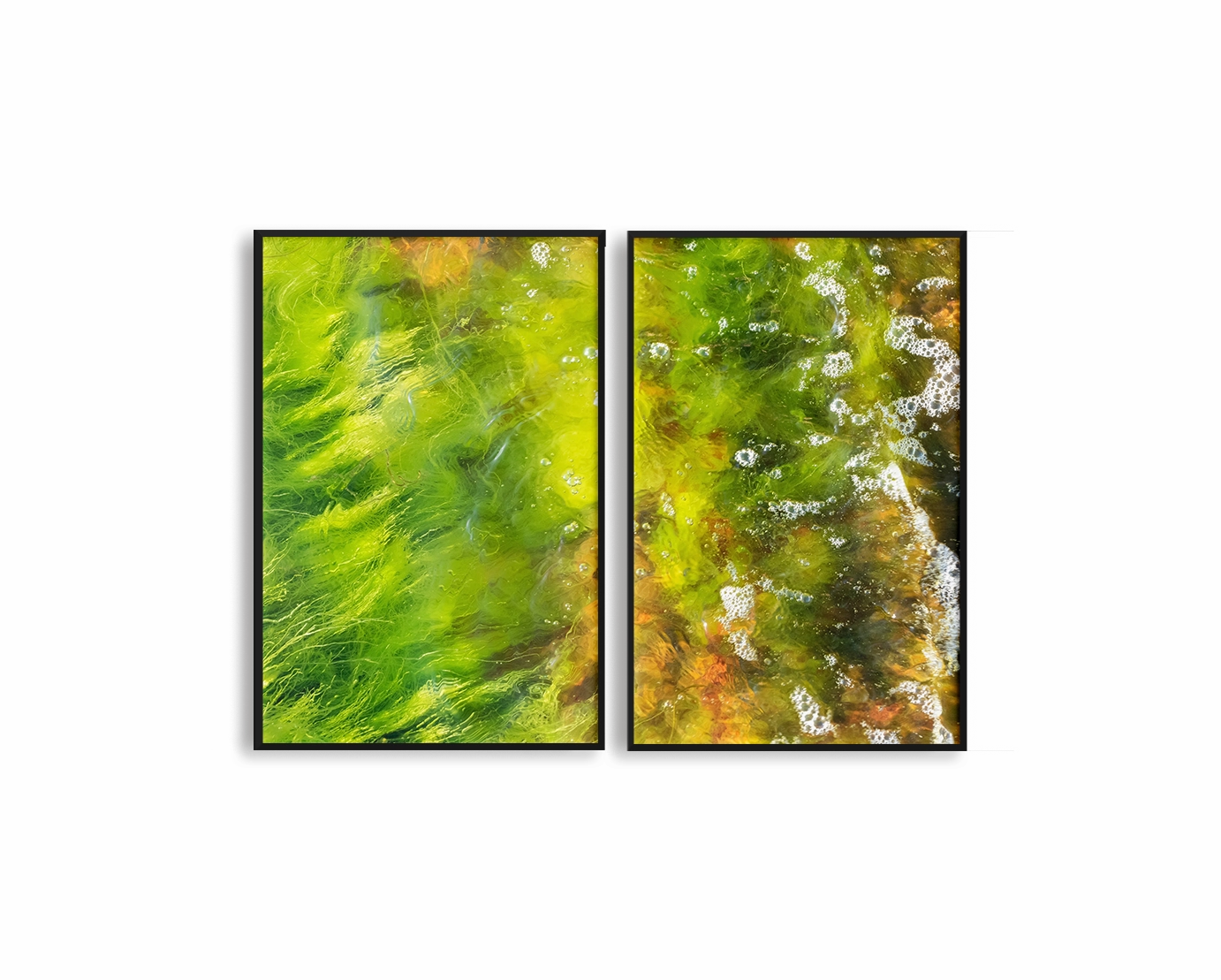 Moss Set Includes Two Prints