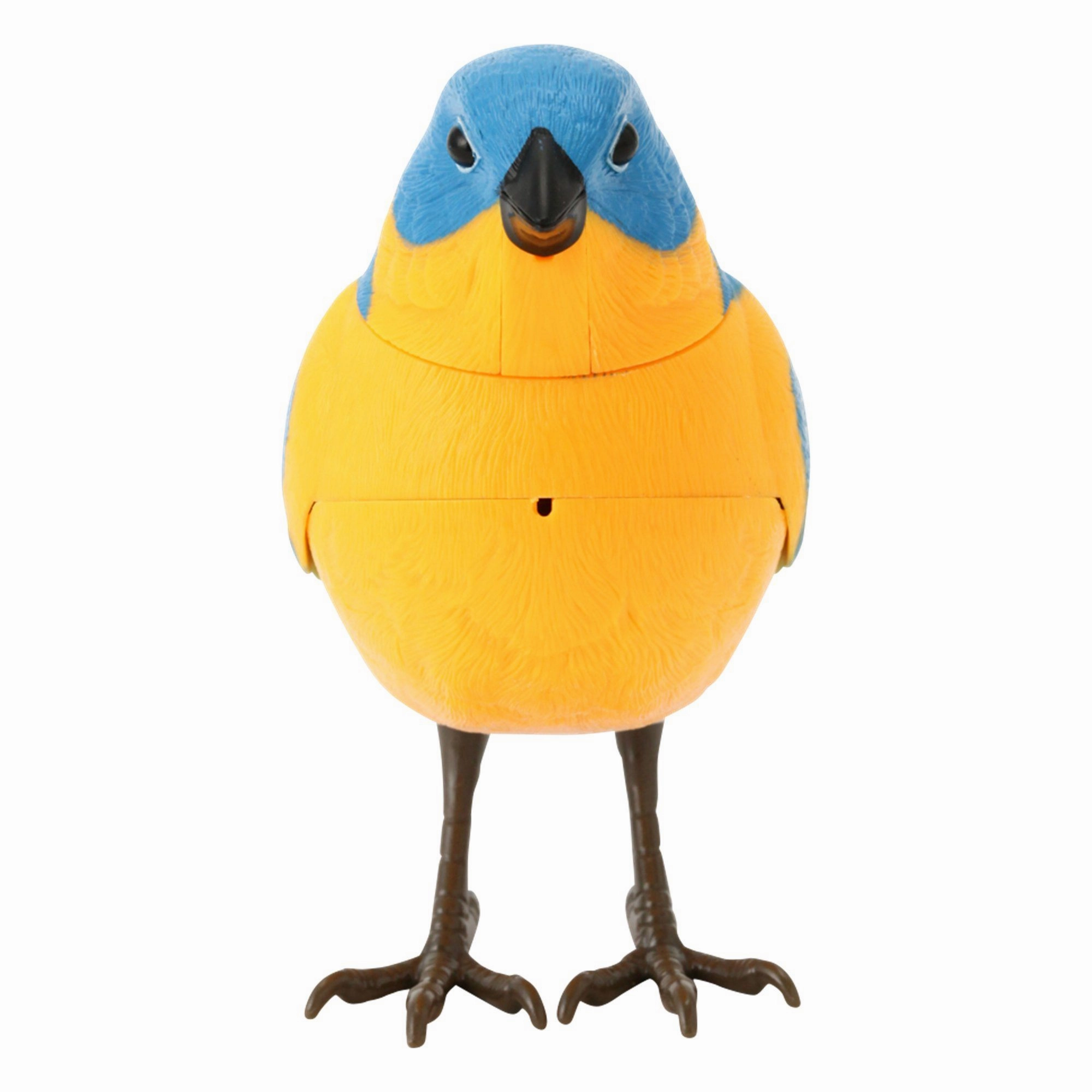 Motion Detector Music Bird Blue