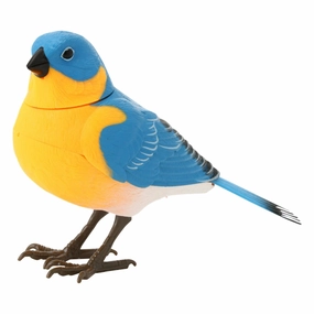 Motion Detector Music Bird Bluehome decor ,wall decor 