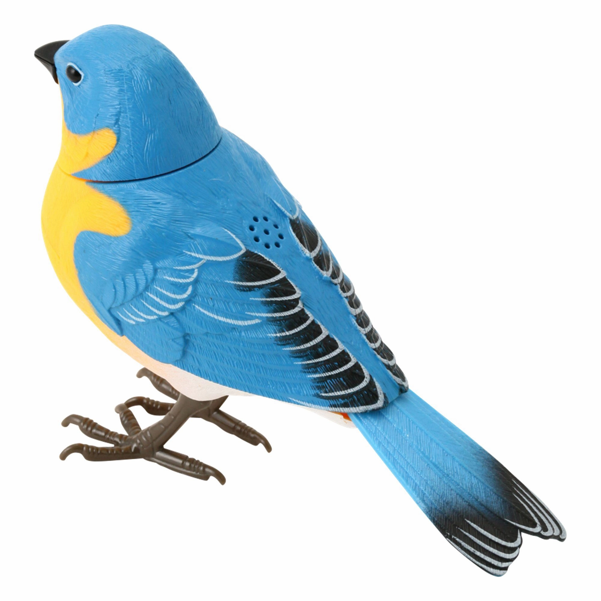 Motion Detector Music Bird Blue