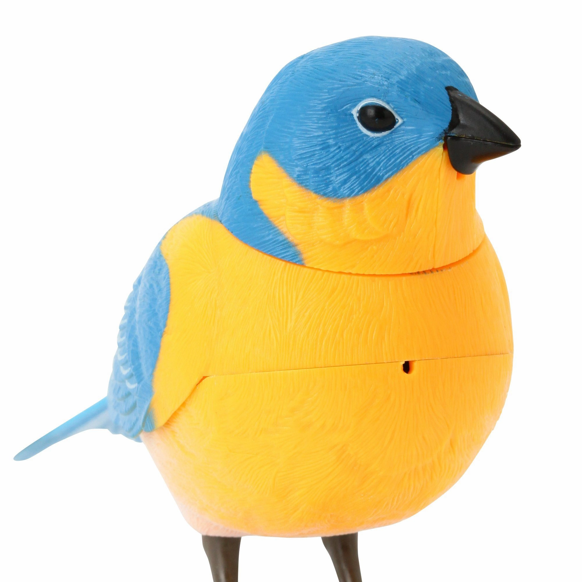 Motion Detector Music Bird Blue