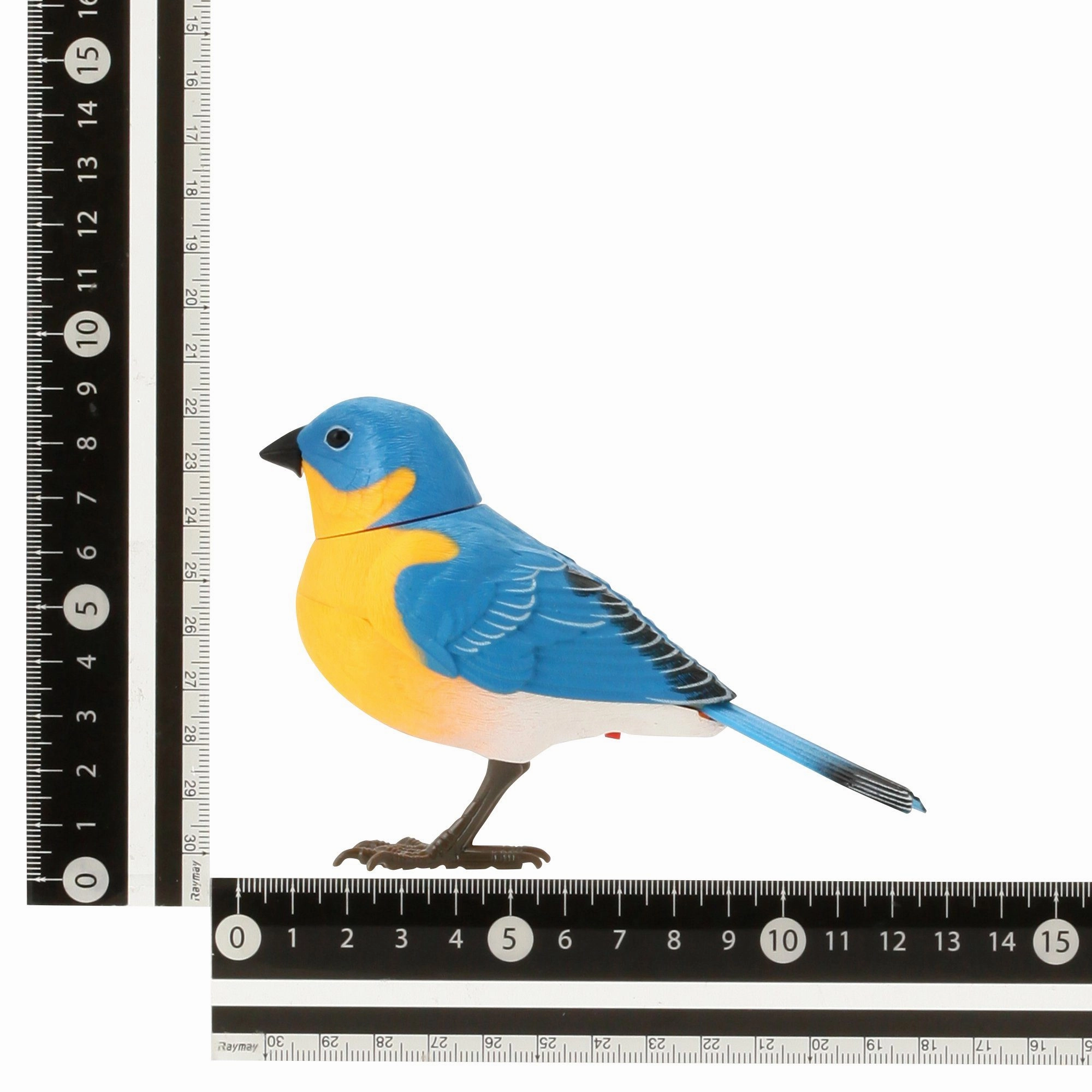 Motion Detector Music Bird Blue