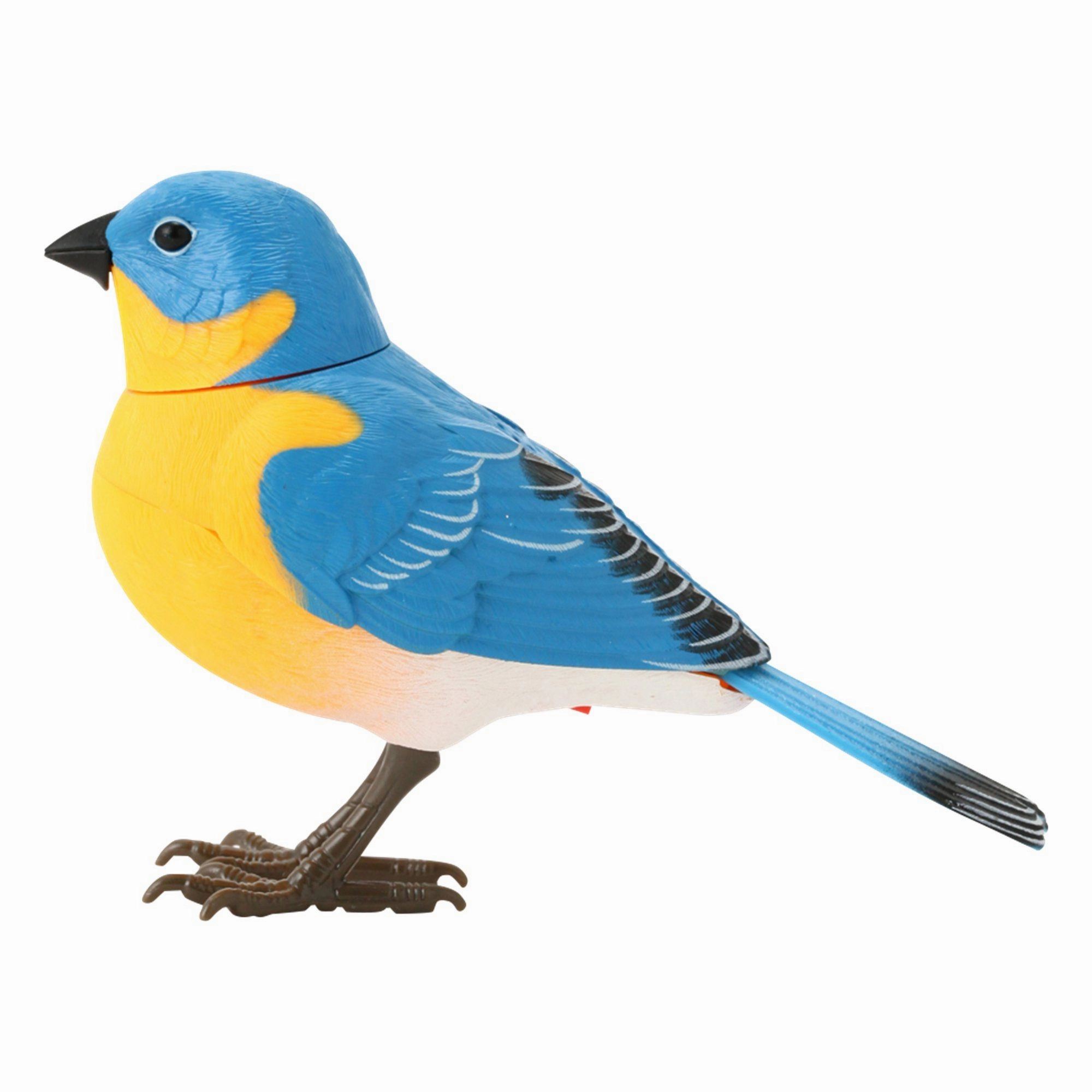 Motion Detector Music Bird Blue
