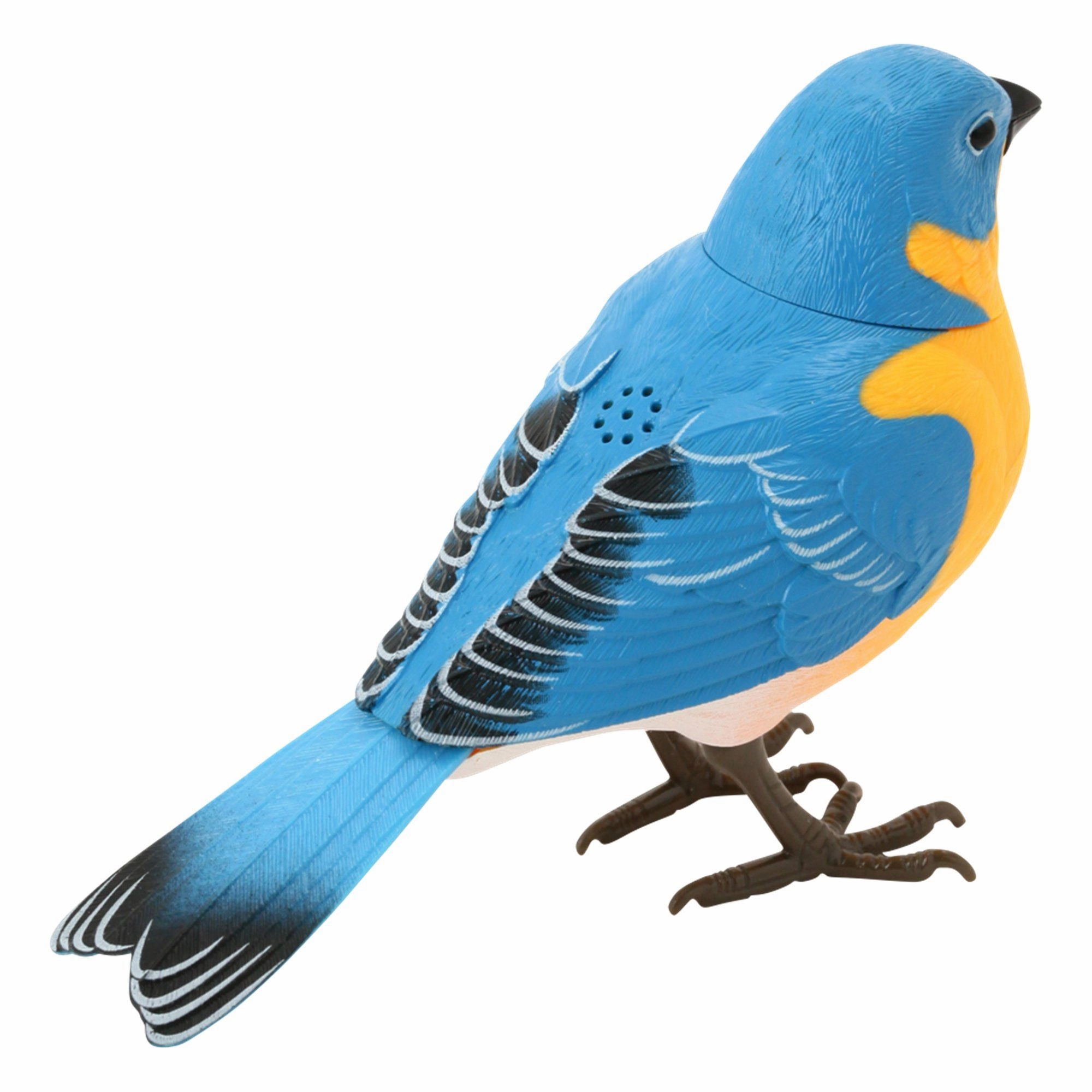 Motion Detector Music Bird Blue