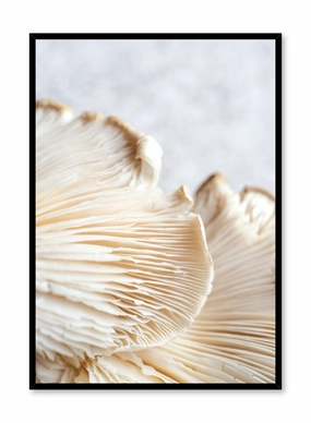 Mushroom Detail, Posterpop culture themed posters