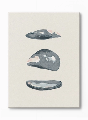 Mussel Memory, Canvasindoor decorative canvas print