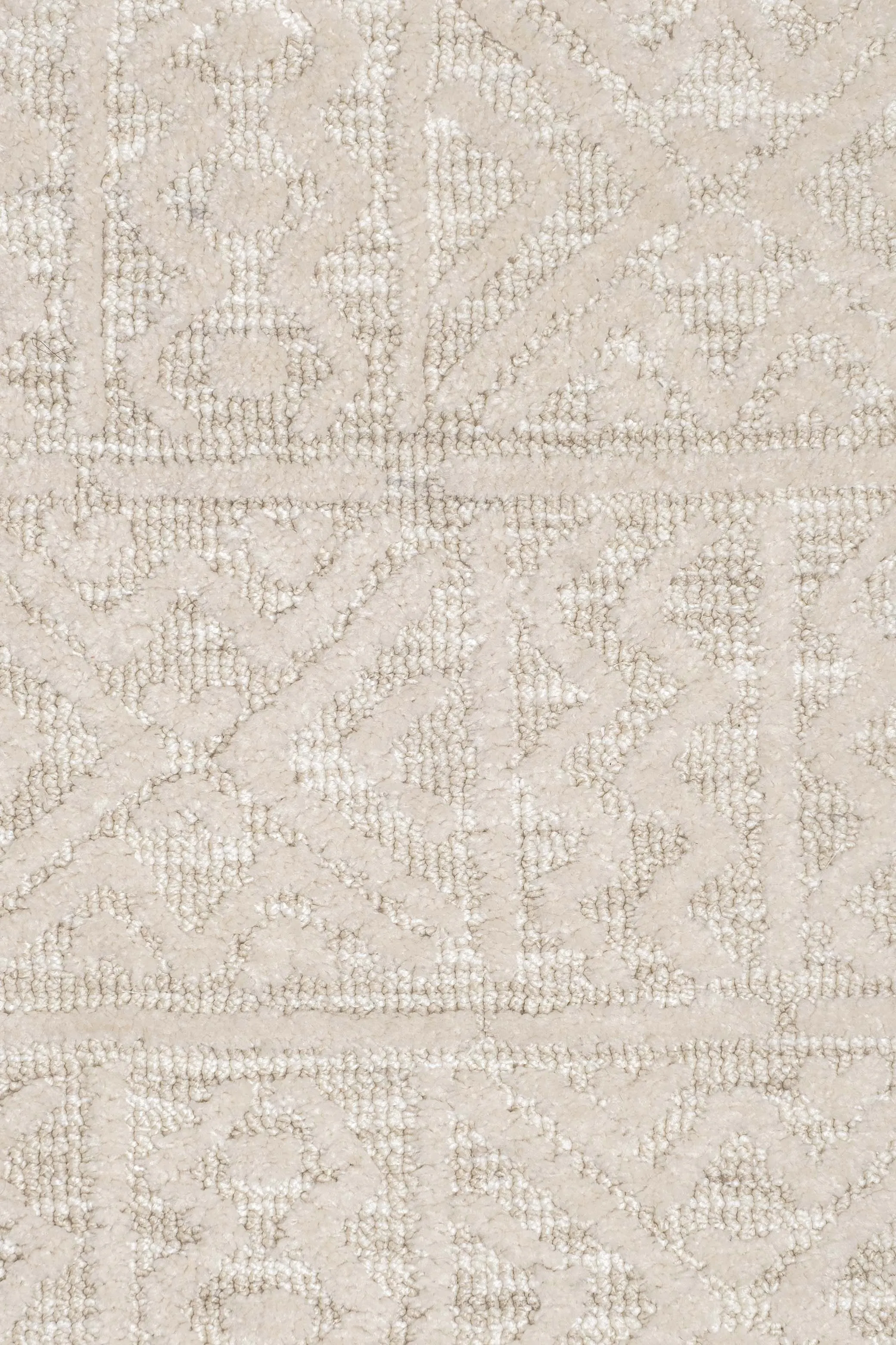 Neewa Beige and Ivory Tribal Transitional Rug
