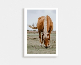 New Forest Ponynordic style wall decor