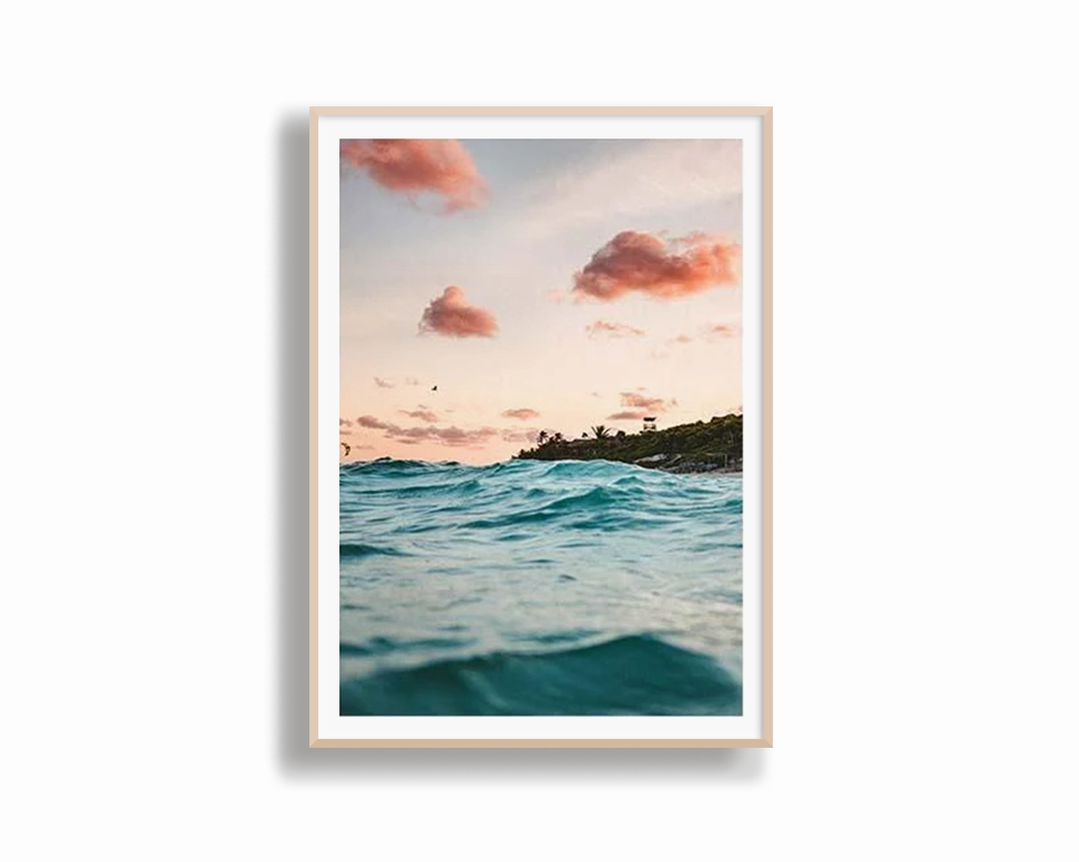 Ocean Life