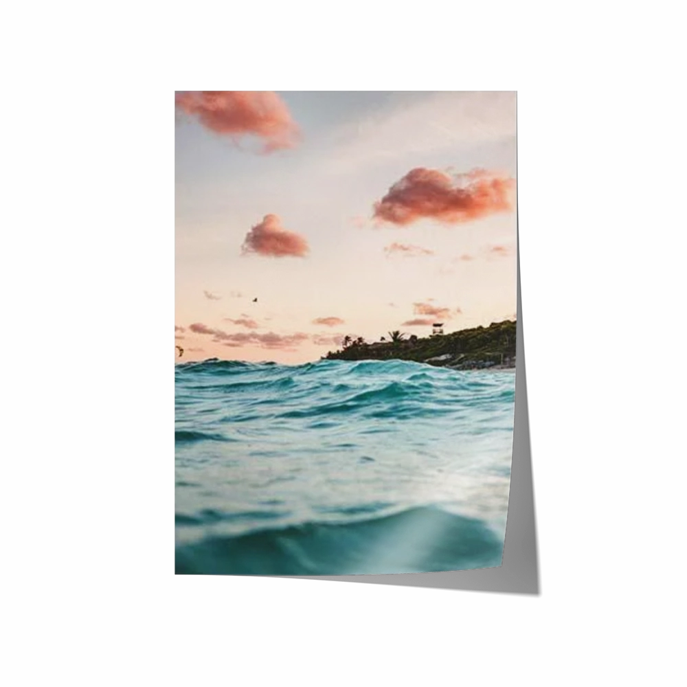 Ocean Life