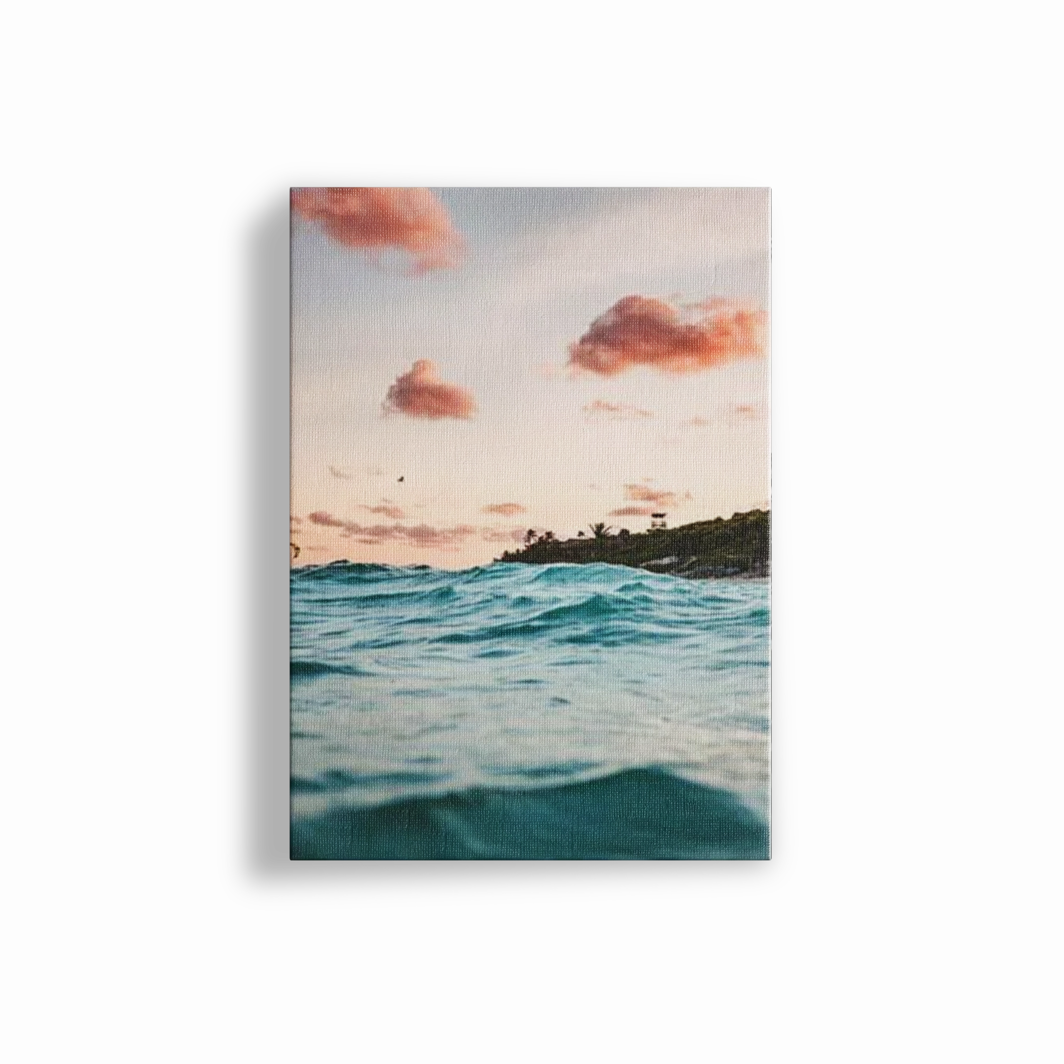 Ocean Life