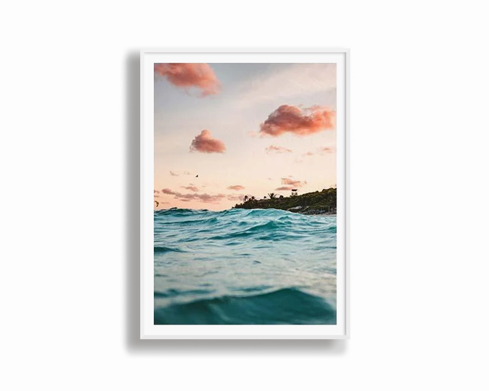 Ocean Life