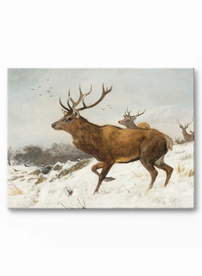 Oh Deer One, Canvasindoor decorative canvas print