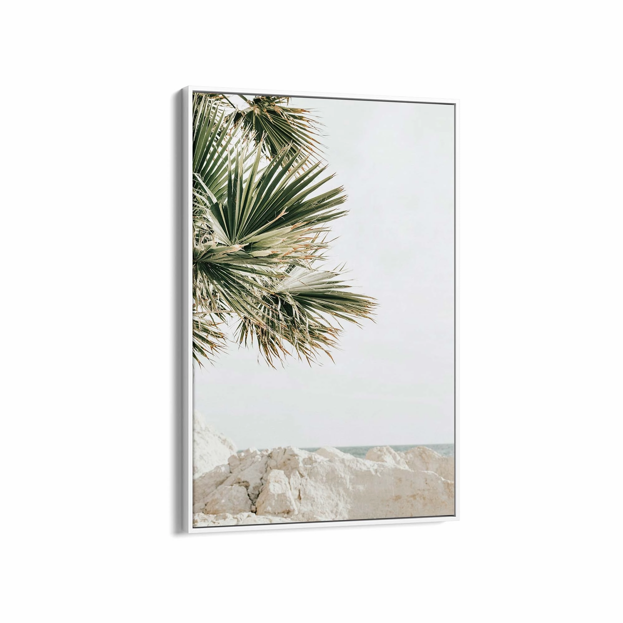 Palm Bay