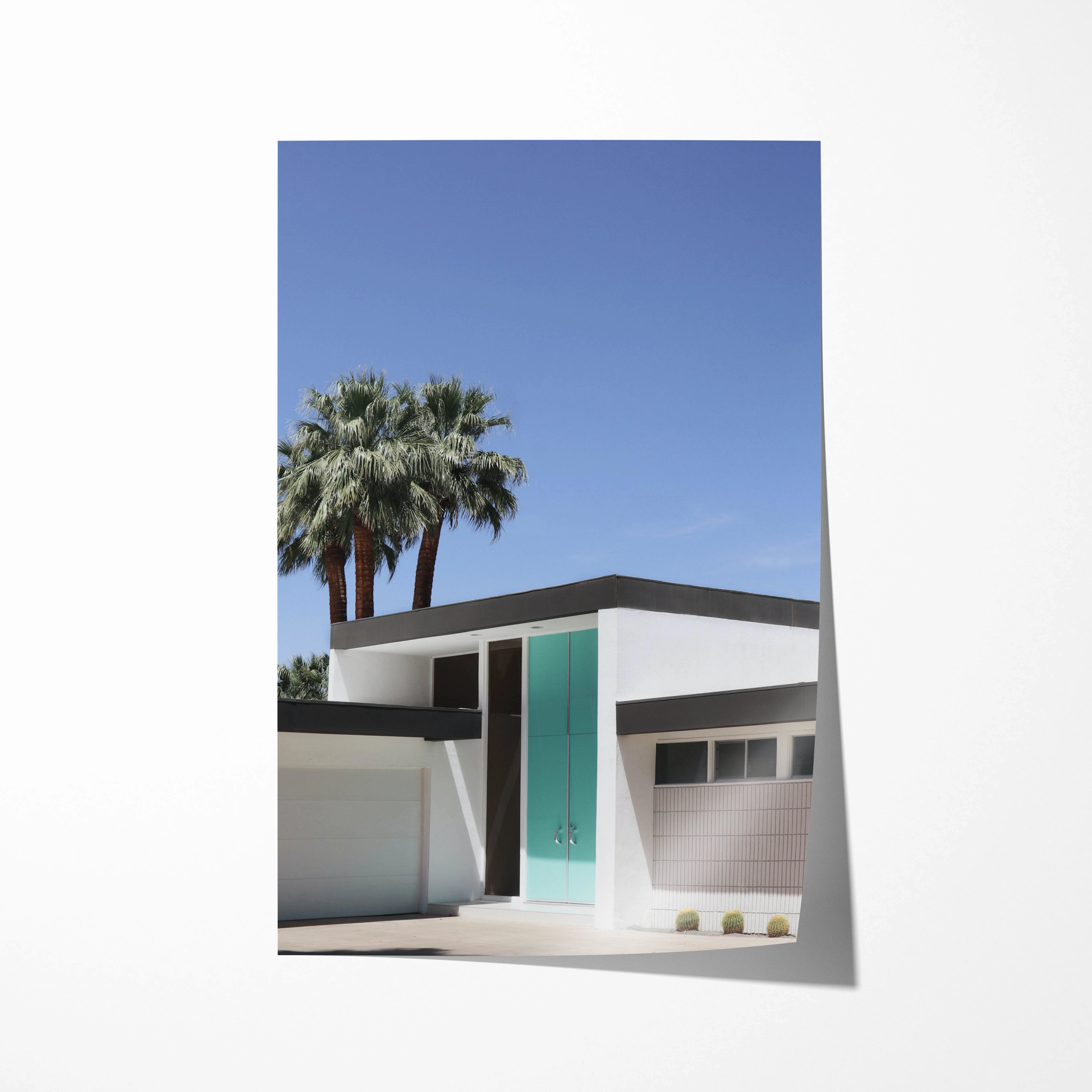 Palm Summer