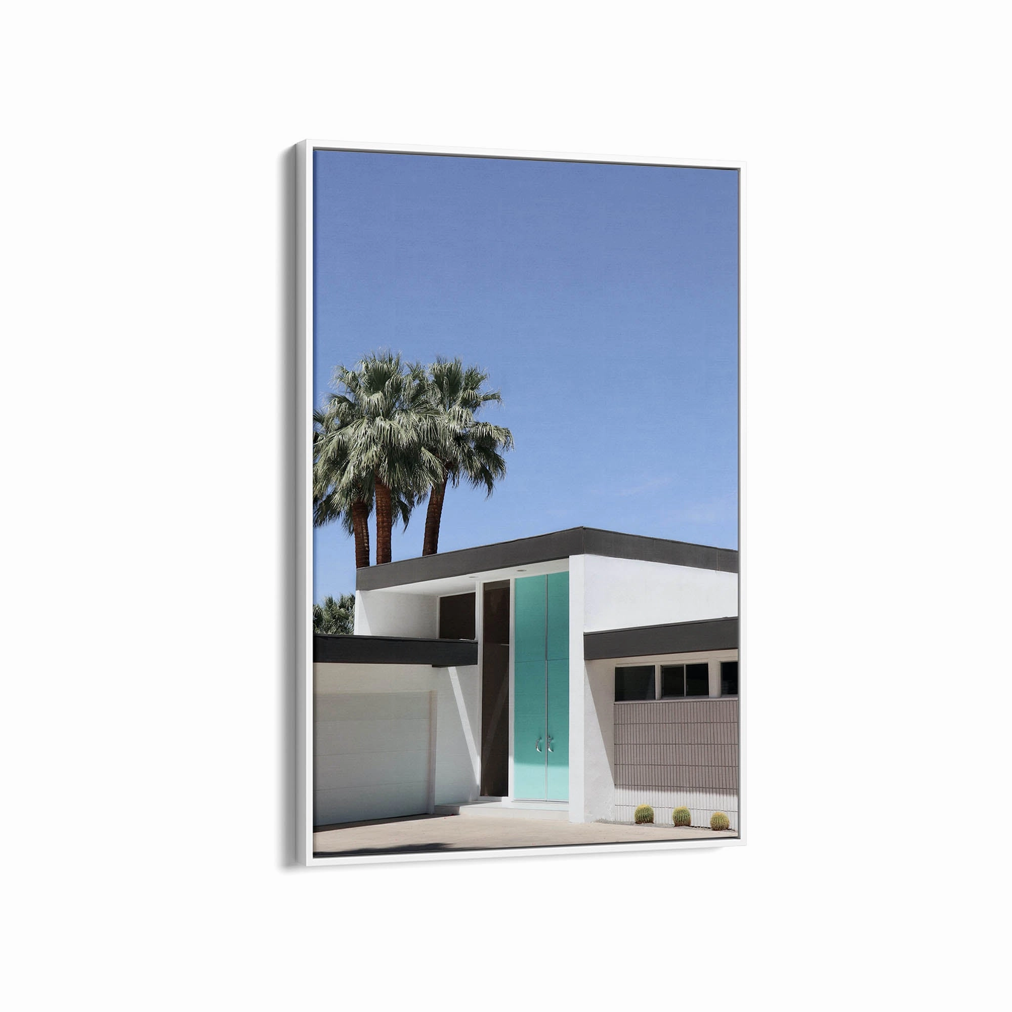 Palm Summer