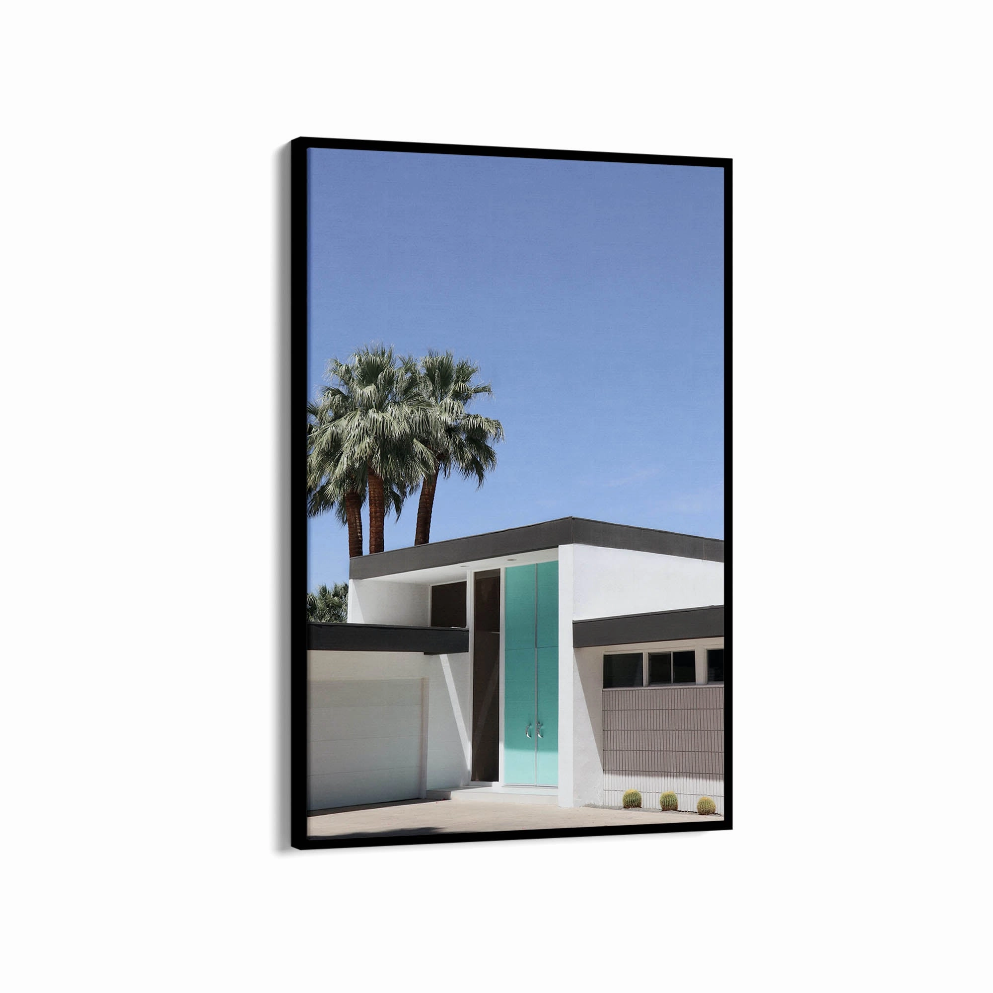 Palm Summer