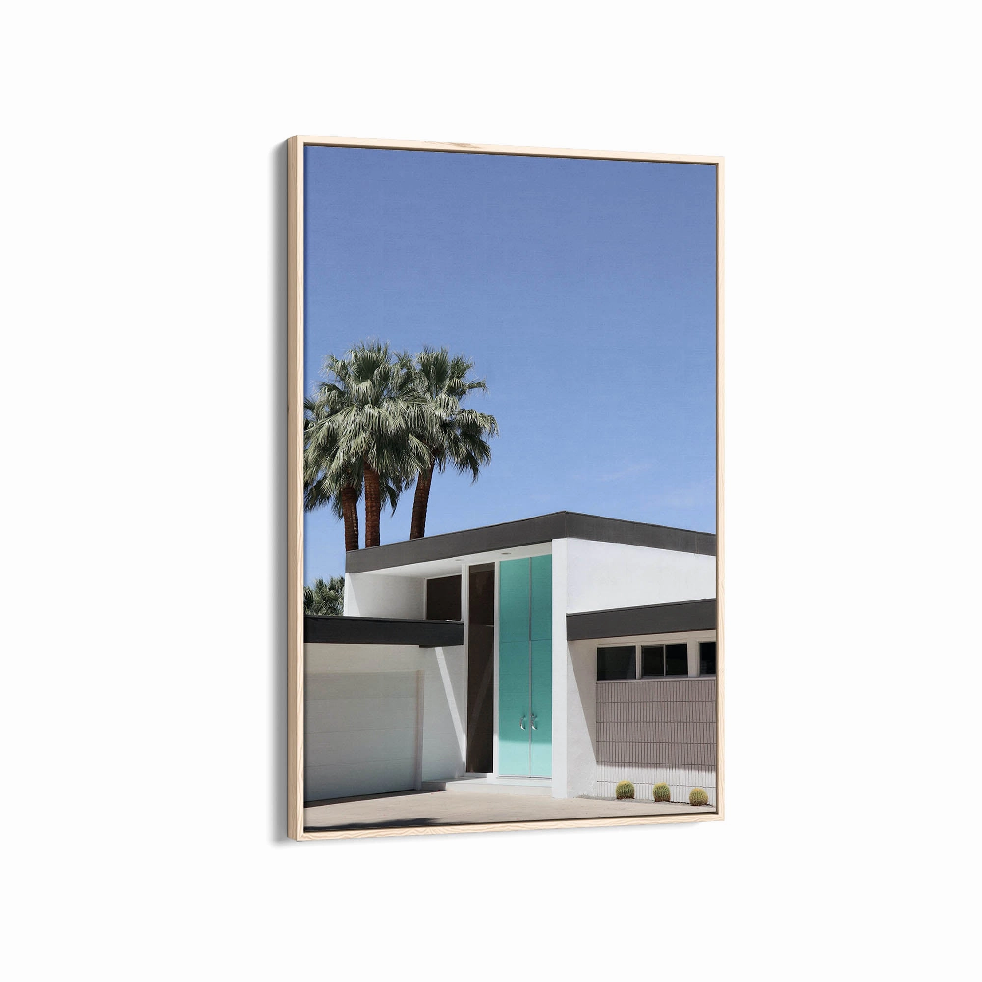Palm Summer