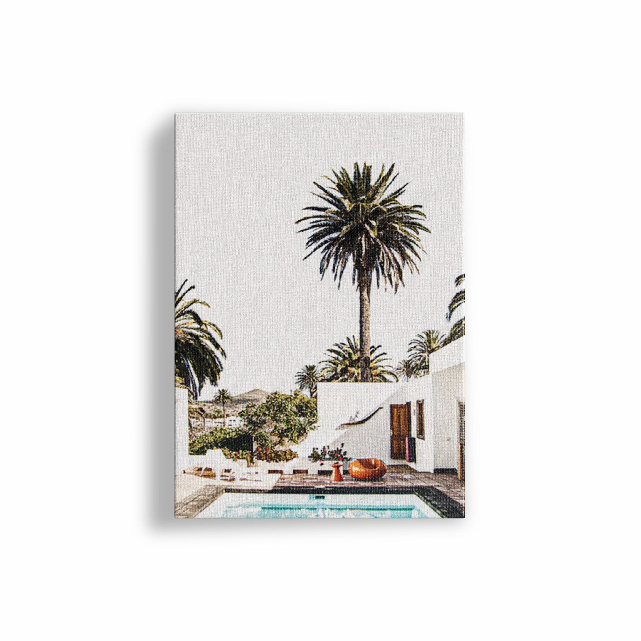Palm Vacation