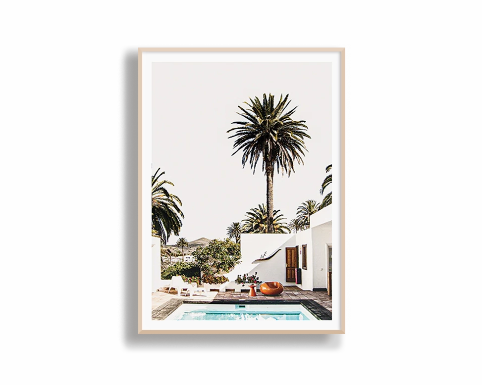 Palm Vacation