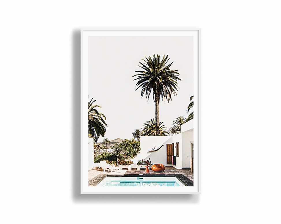 Palm Vacation