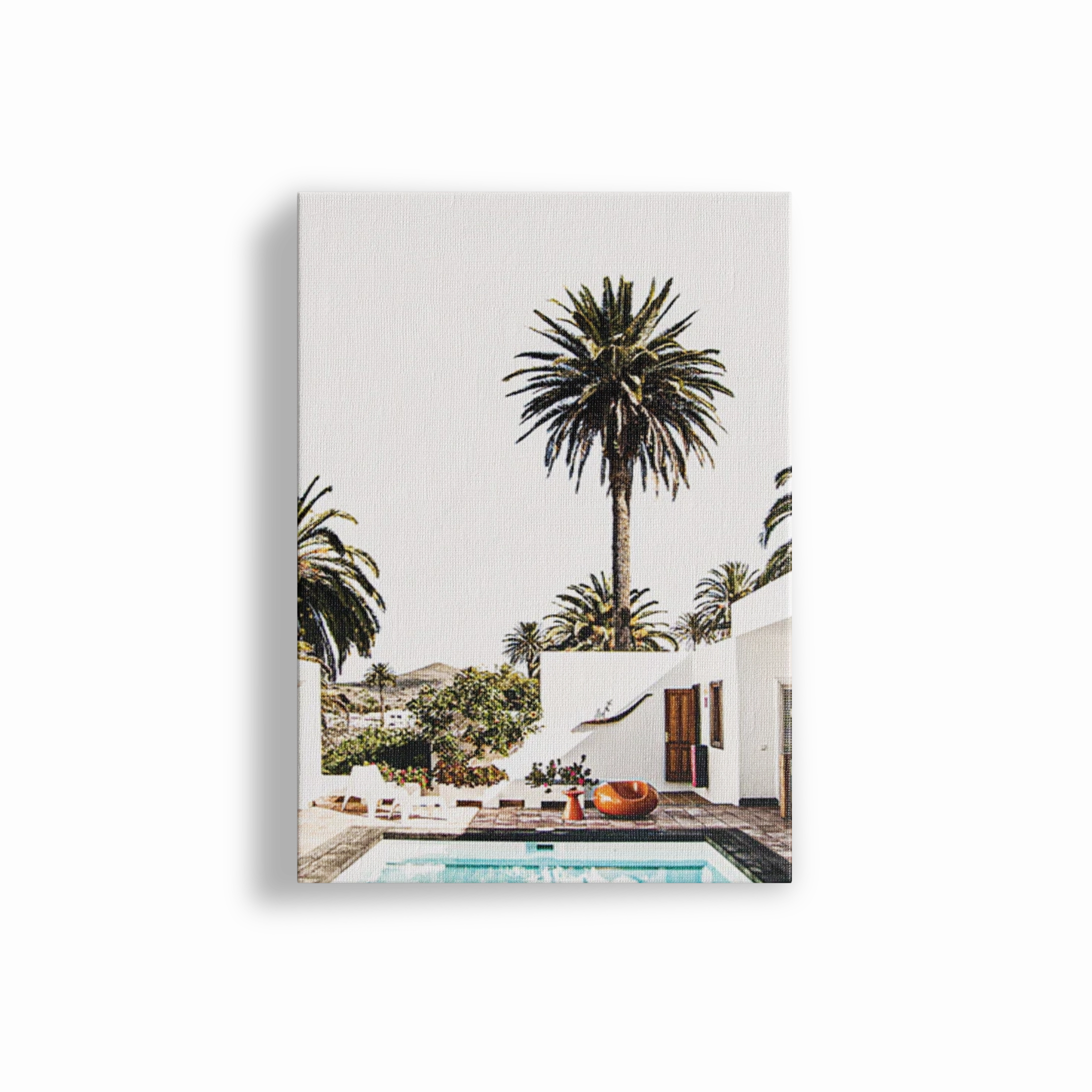 Palm Vacation