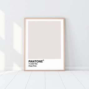 Pantone - Petal Pinknordic style wall decor