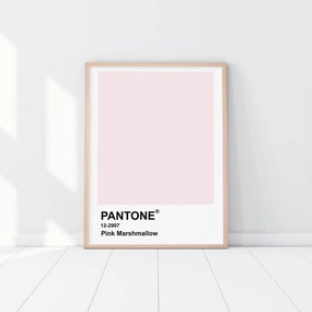 Pantone - Pink Marshmallownordic style wall decor