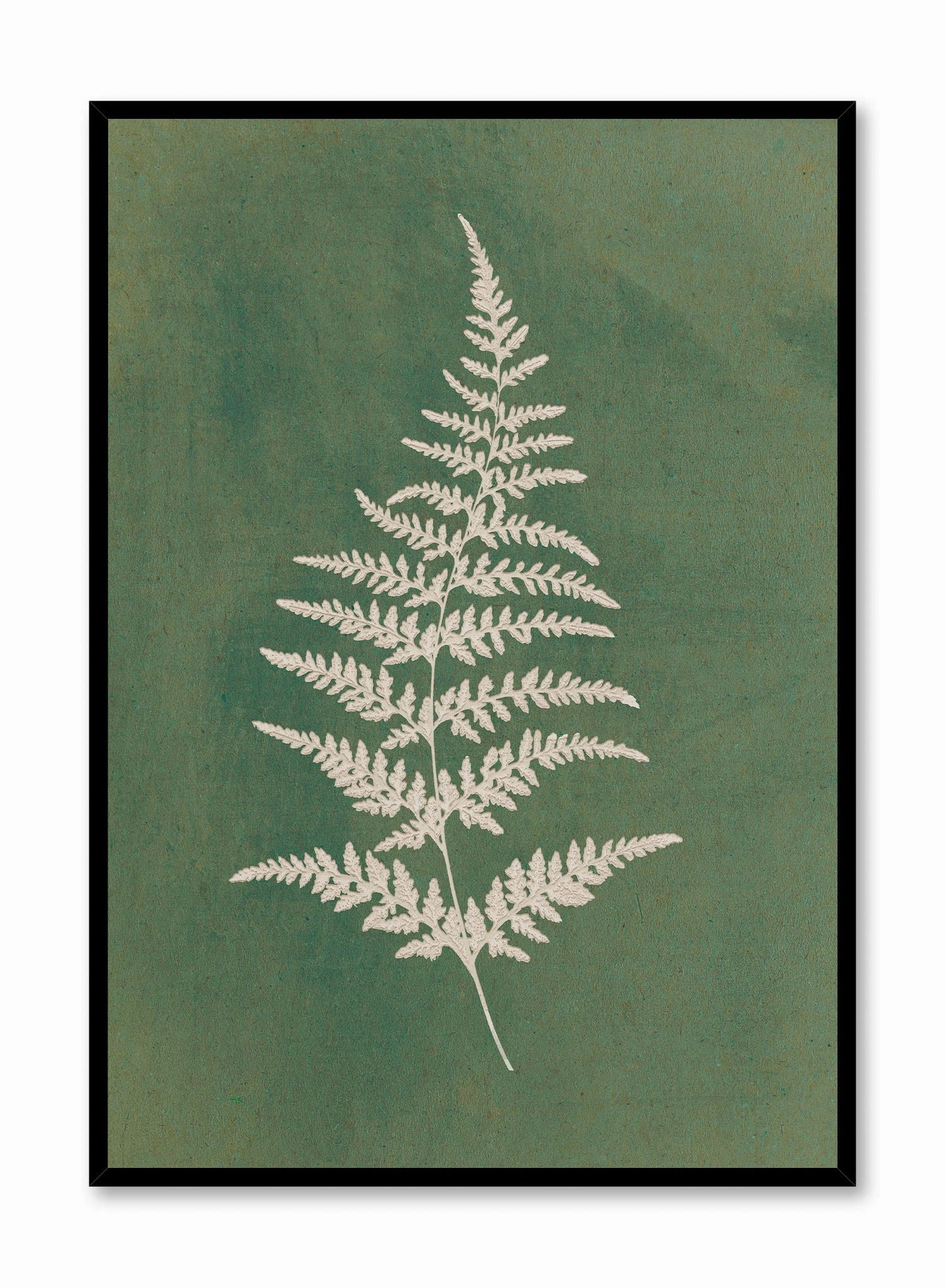 Papercut Wood Fern, Posterpop culture themed posters