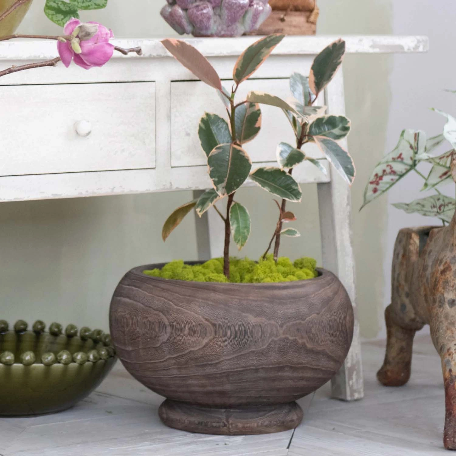 Paulownia Wood Planter, Stained Finish - 14" Wide