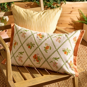 Peach Trellis Printed Outdoor Cushion Orangebedding sets ,throw blankets 