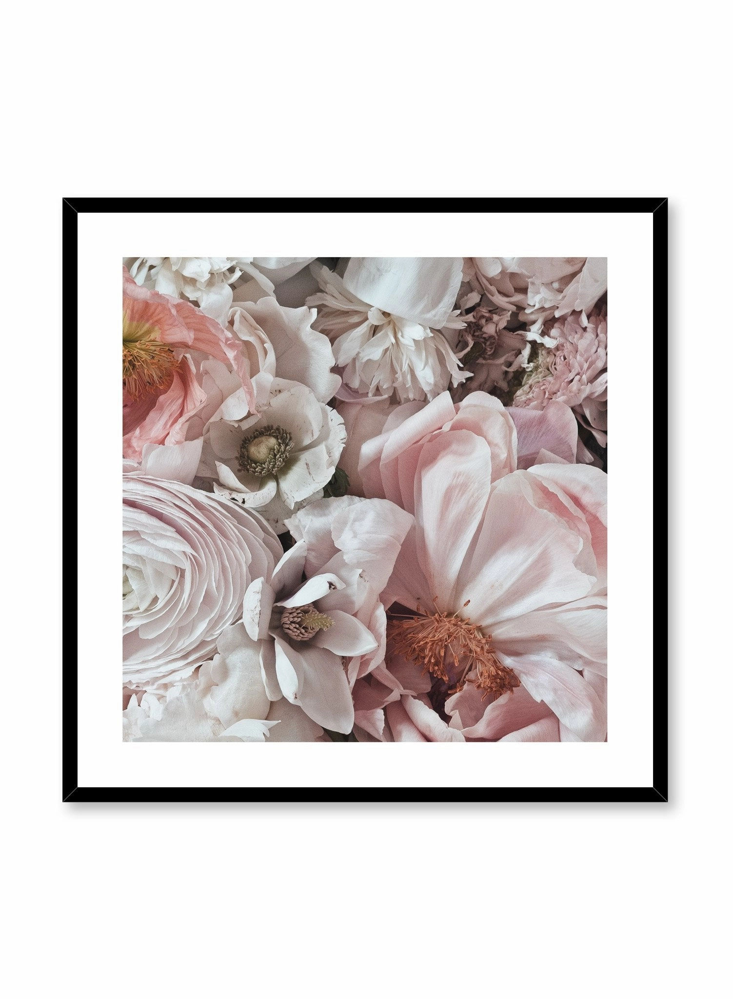 Petals Petals Petals, Poster