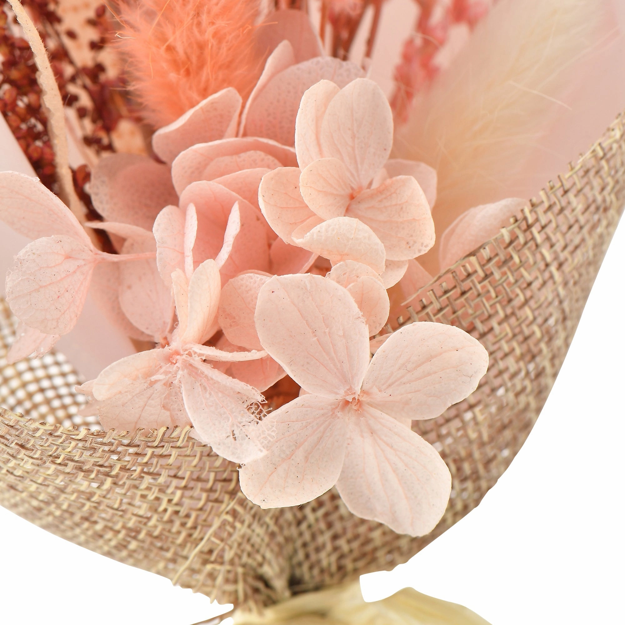 Petit Dried Flower Mix Pink