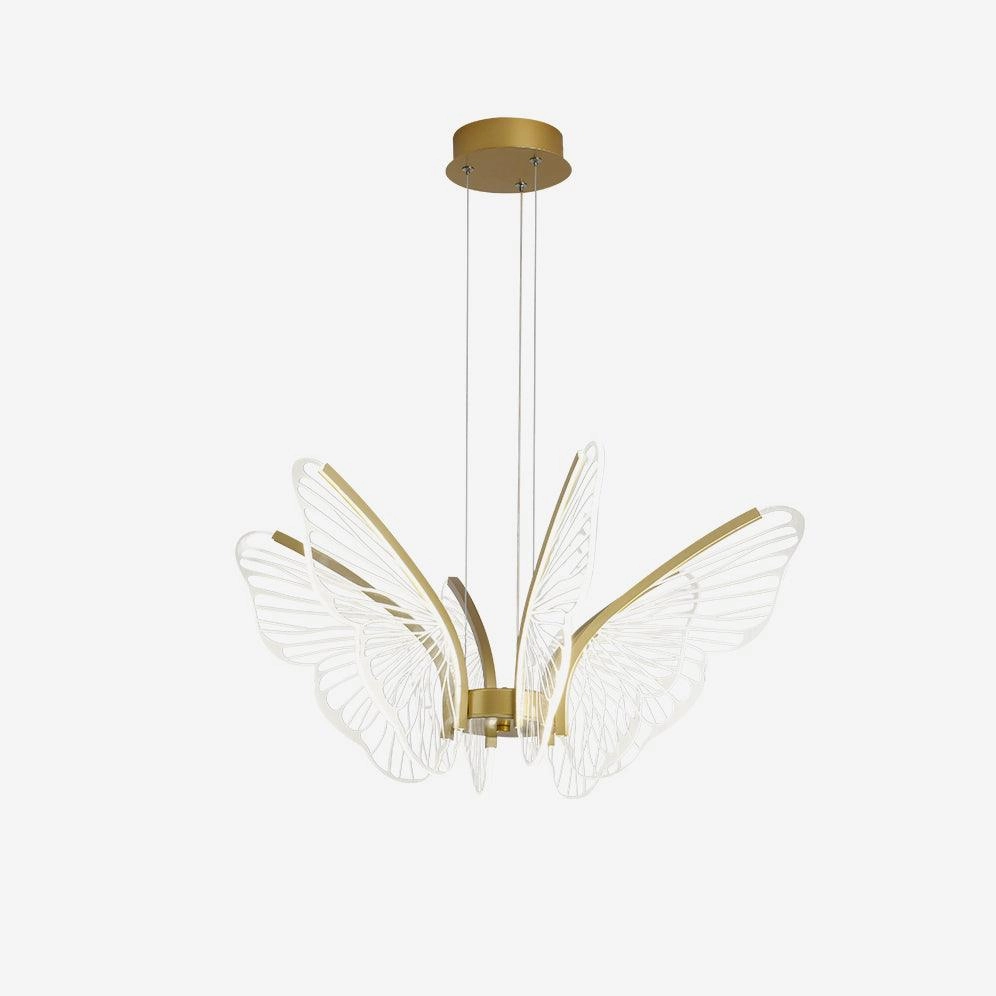 Phalaenopsis Chandelier