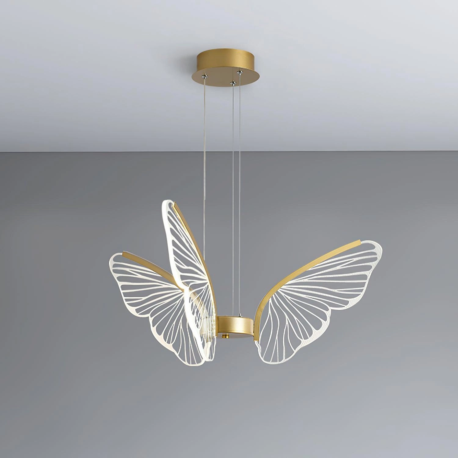 Phalaenopsis Chandelier
