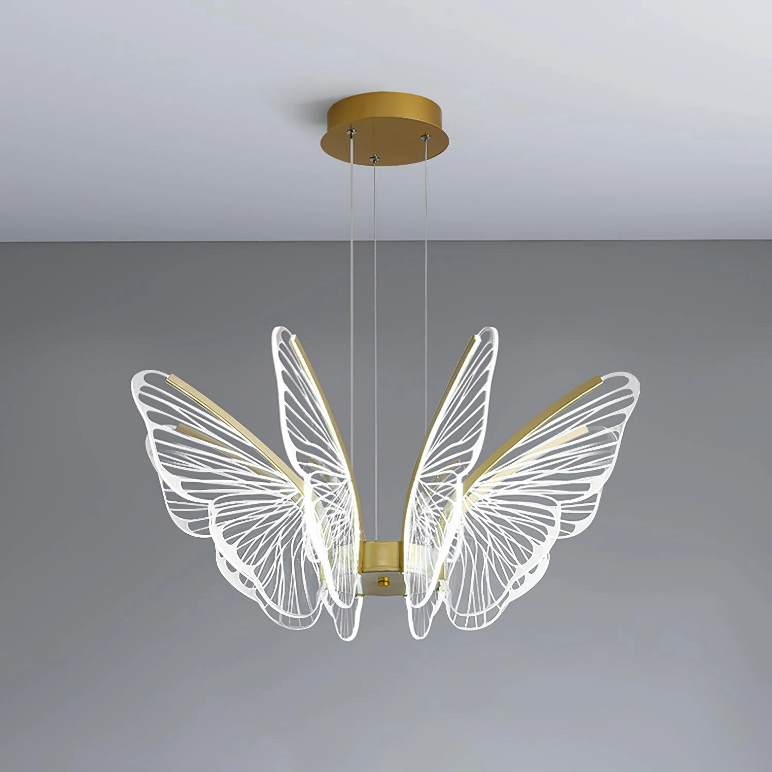 Phalaenopsis Chandelier
