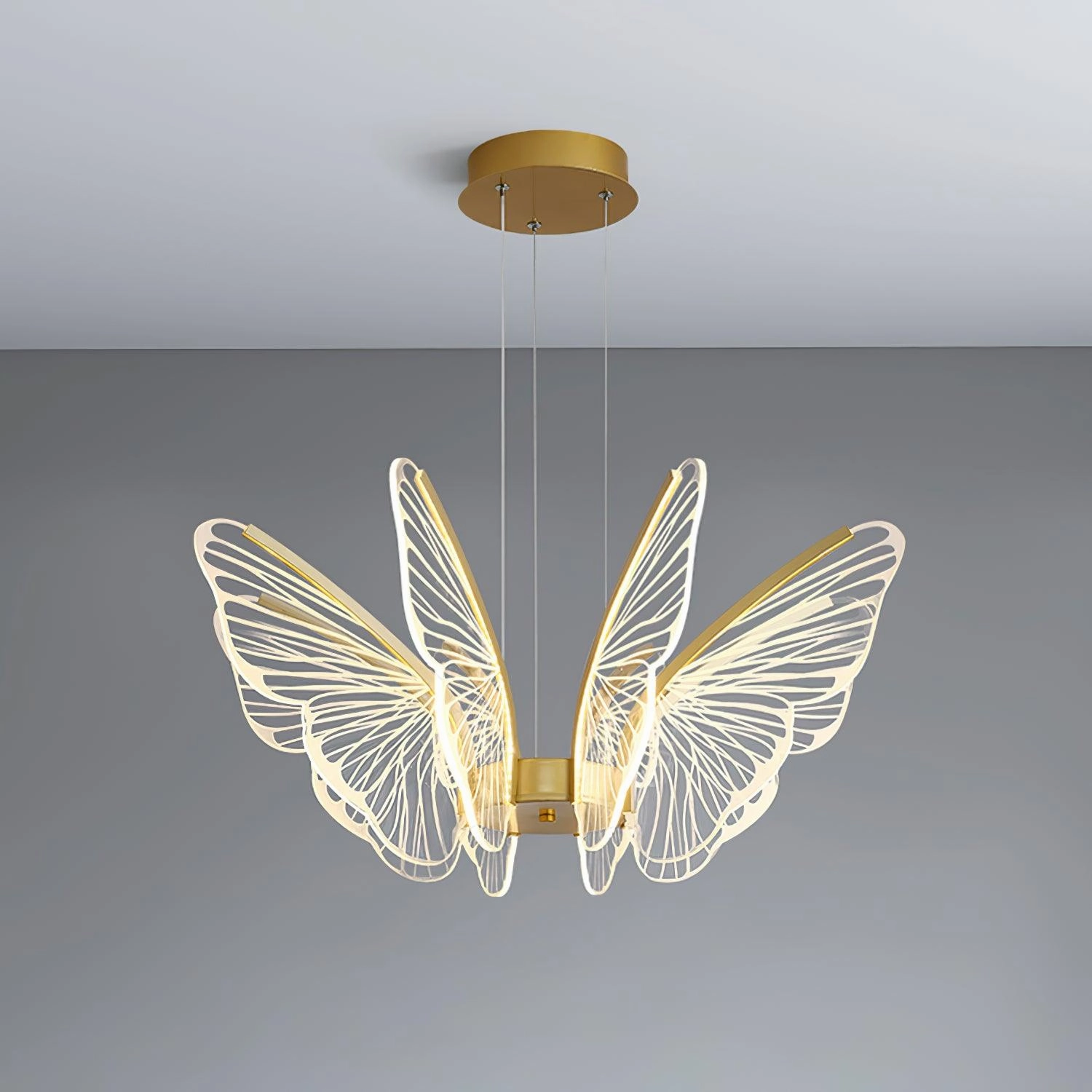 Phalaenopsis Chandelier