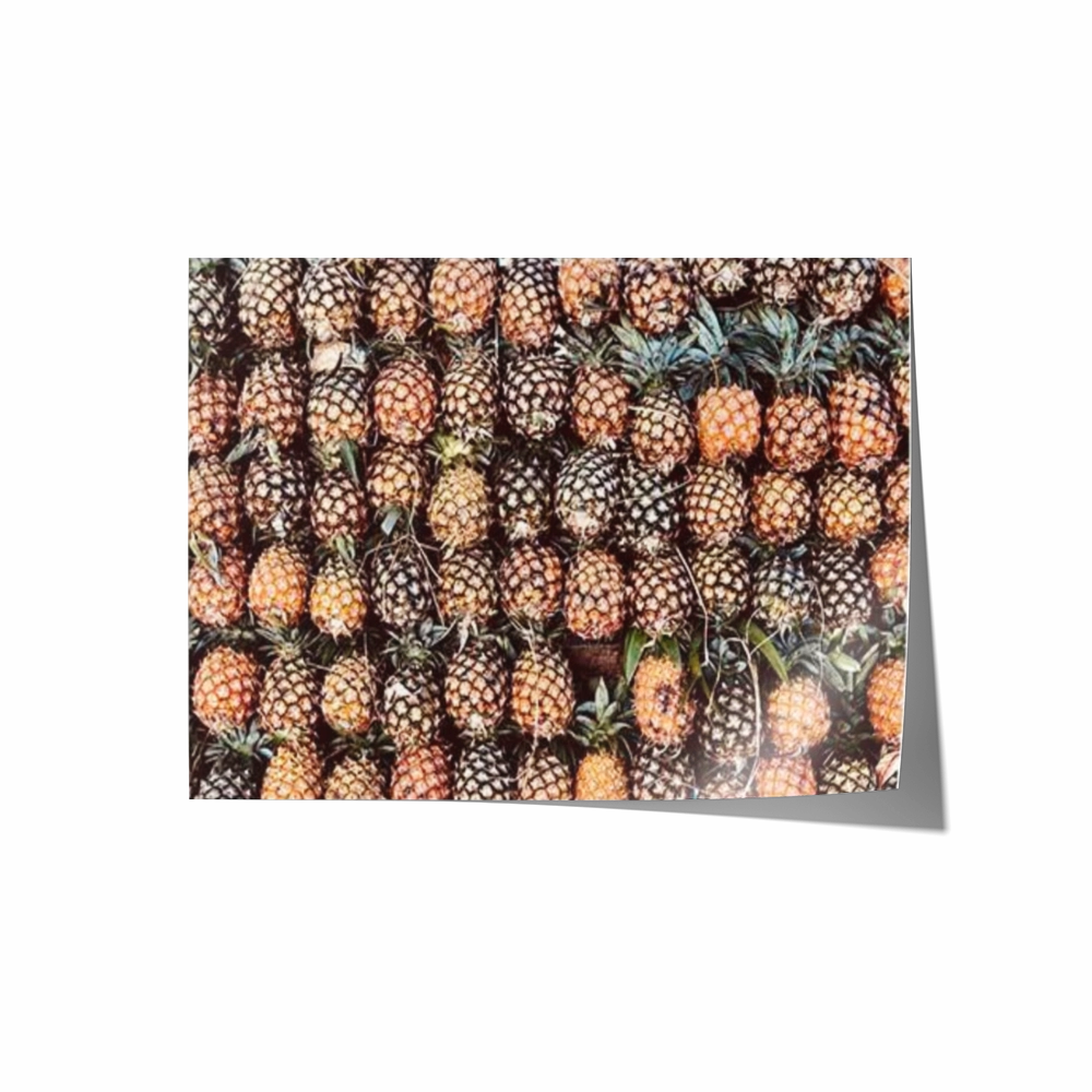 Pineapple Grid