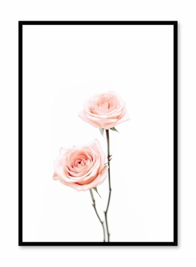 Pink Roses, Posterpop culture themed posters